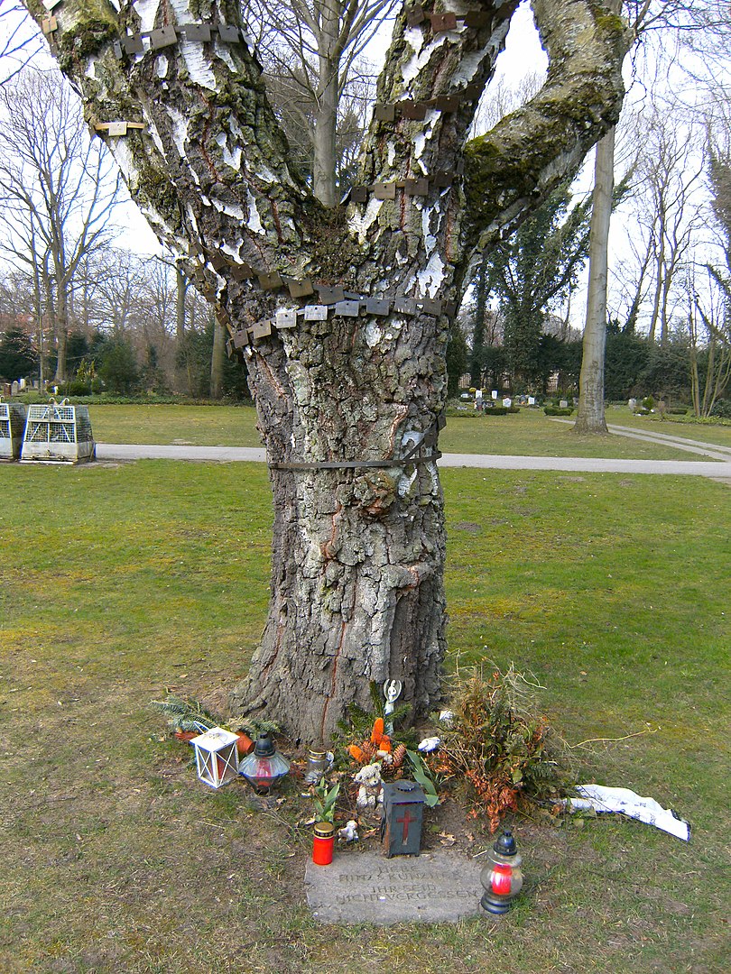 Baumgrab auf dem Friedhof Öjendorf