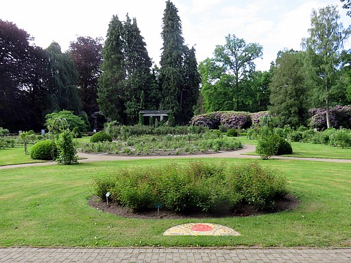 Rosengarten im Friedhof Ohlsdorf